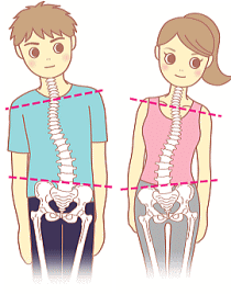 背骨 骨盤 の歪みは身体不調の原因